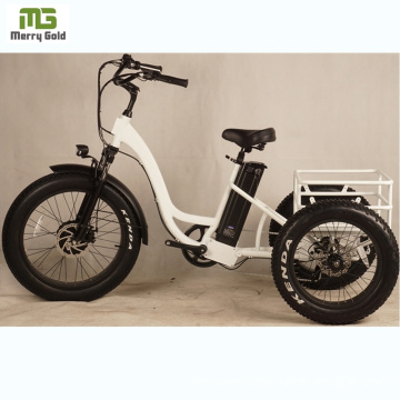 Tricycles 3 Wheel Electric Three Wheels Cargo Electric Tricycle 350W Electric Adult Tricycle